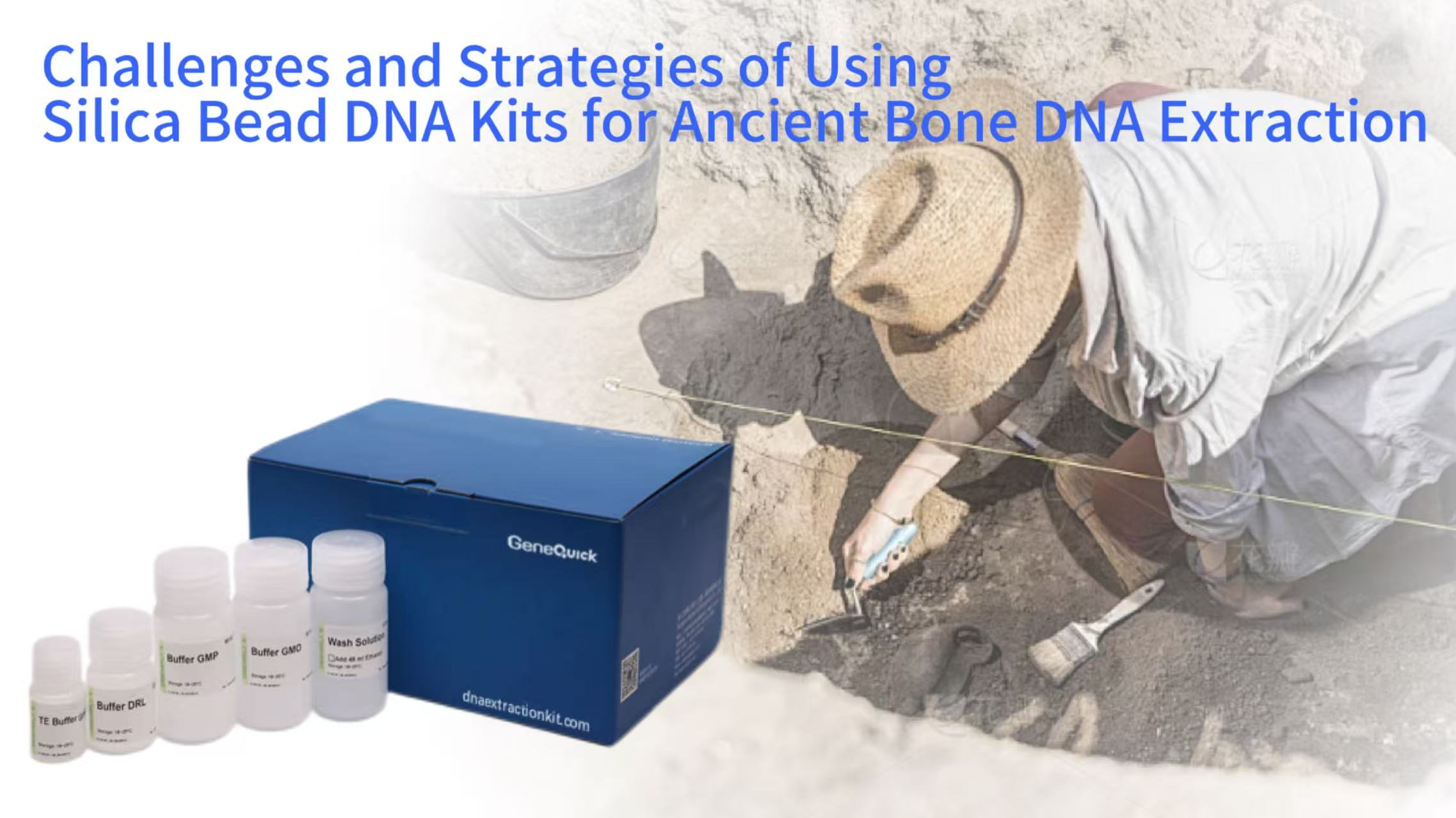 Challenges and Strategies of Using Silica Bead DNA Kits for Ancient Bone DNA Extraction