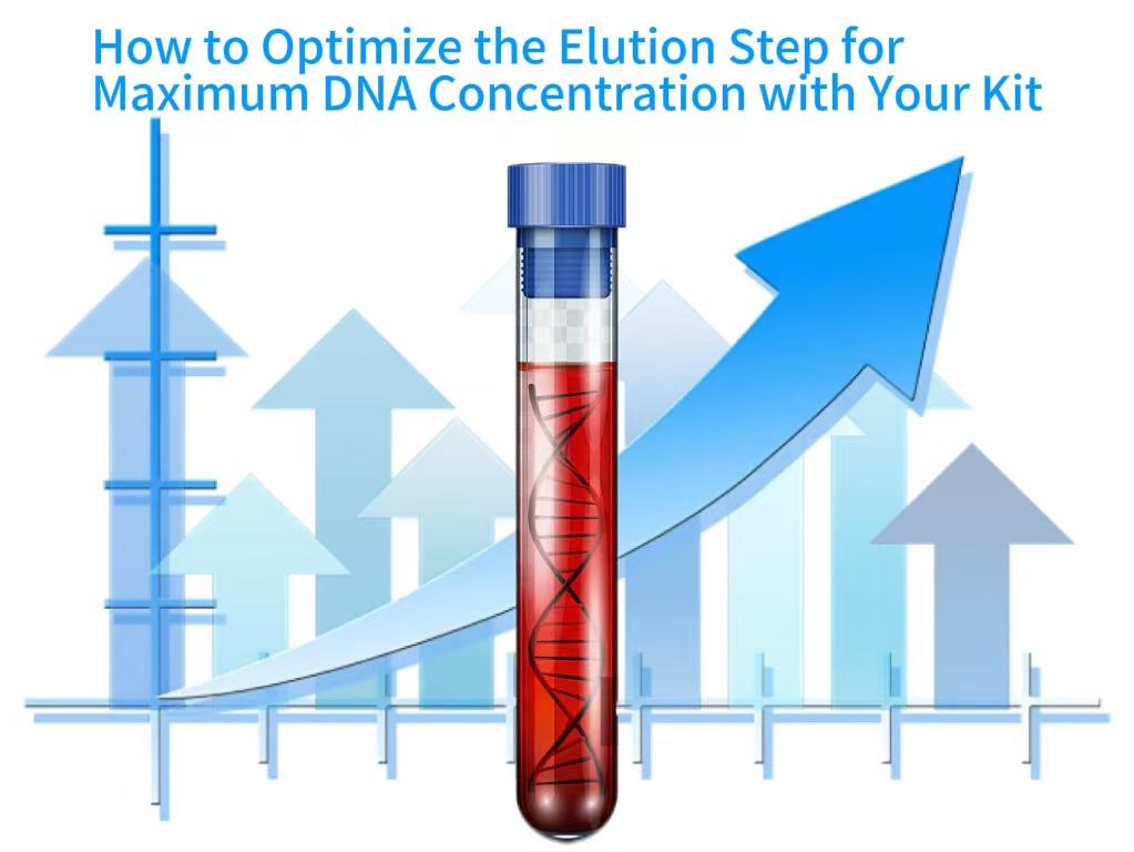 How to Optimize the Elution Step for Maximum DNA Concentration with Your Kit