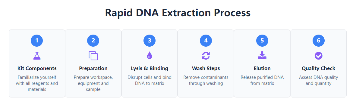 Beginner's Guide: A Ten-Minute Tutorial to Using a Rapid DNA Extraction Kit