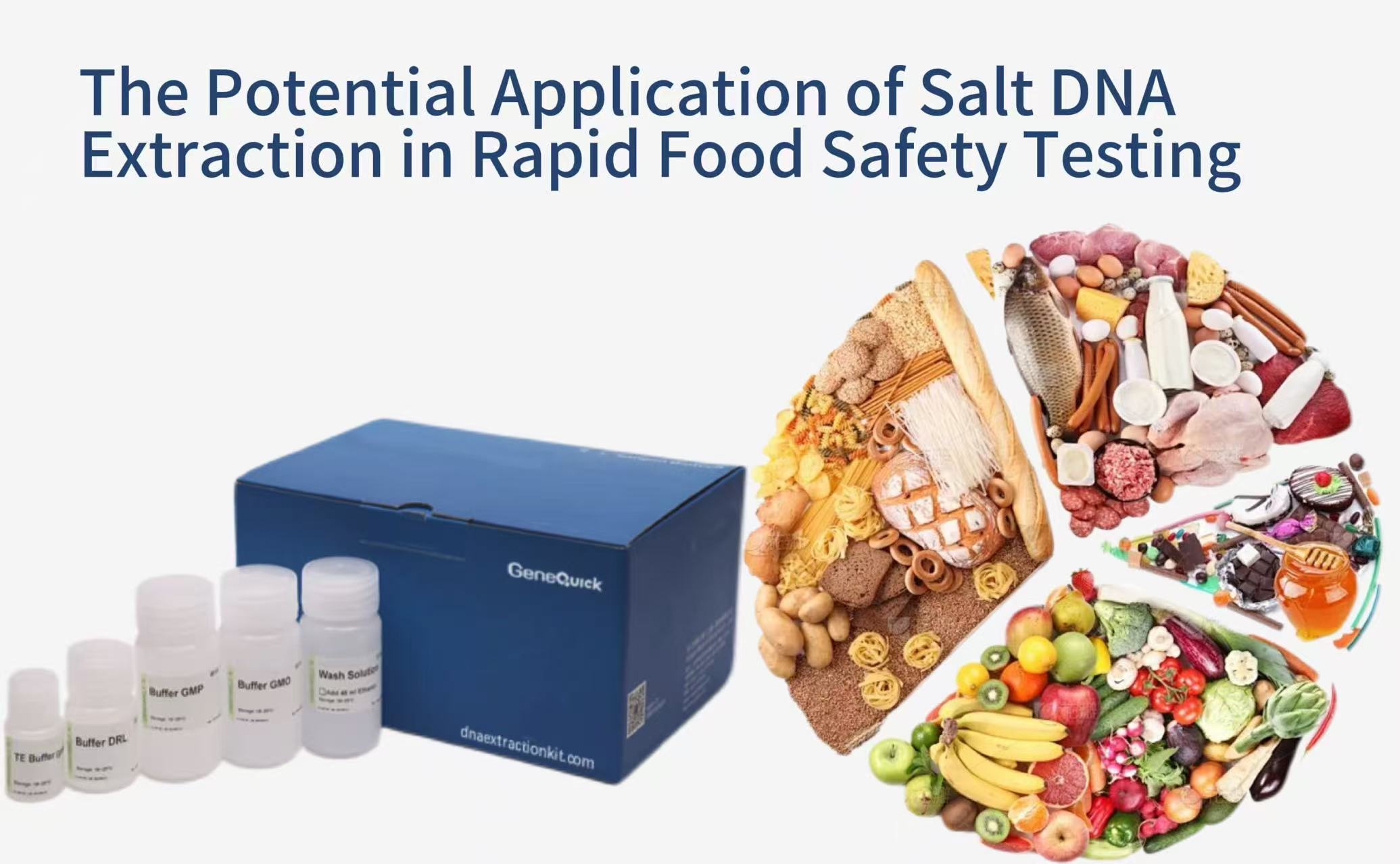The Potential Application of Salt DNA Extraction in Rapid Food Safety Testing