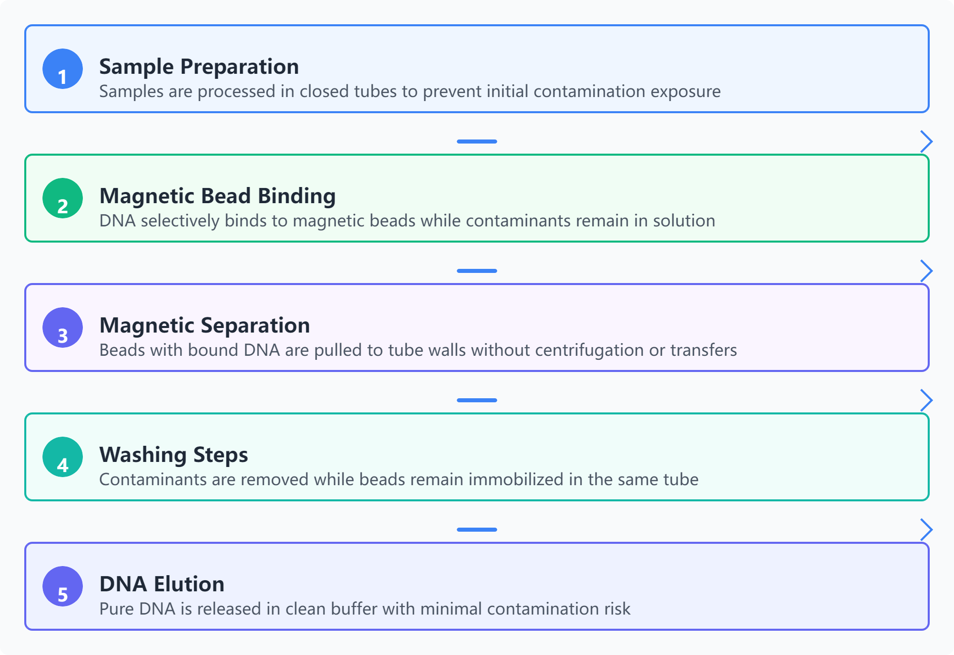 magnetic-bead-dna-extraction-flowchart.png