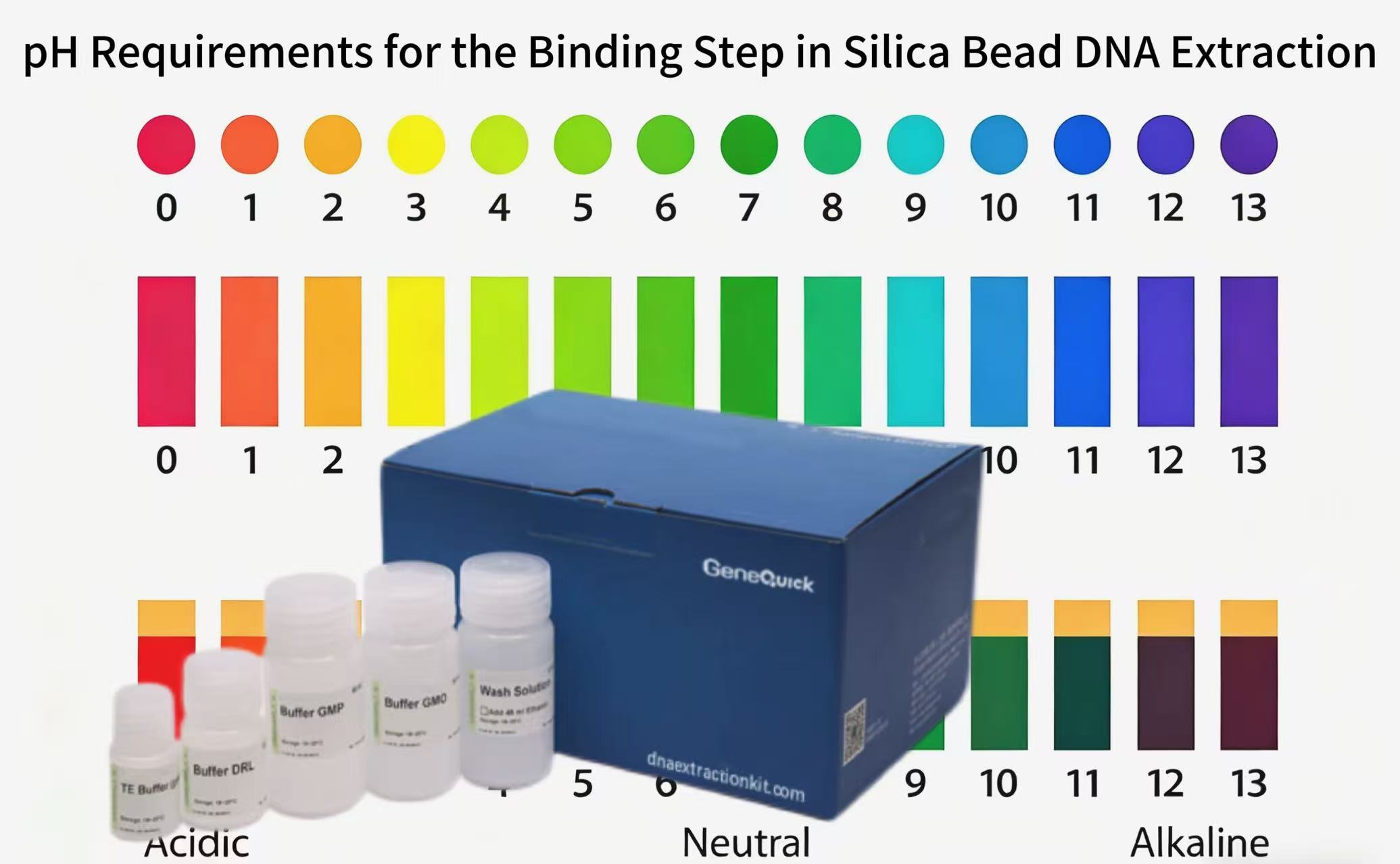 pH Requirements for the Binding Step in Silica Bead DNA Extraction