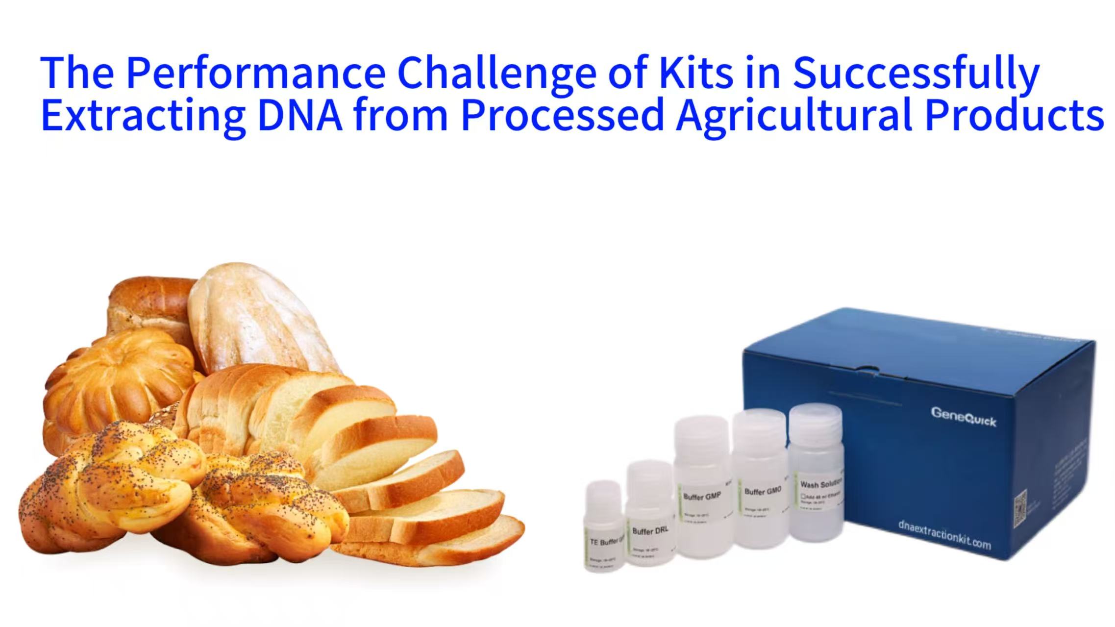 The Performance Challenge of Kits in Successfully Extracting DNA from Processed Agricultural Products