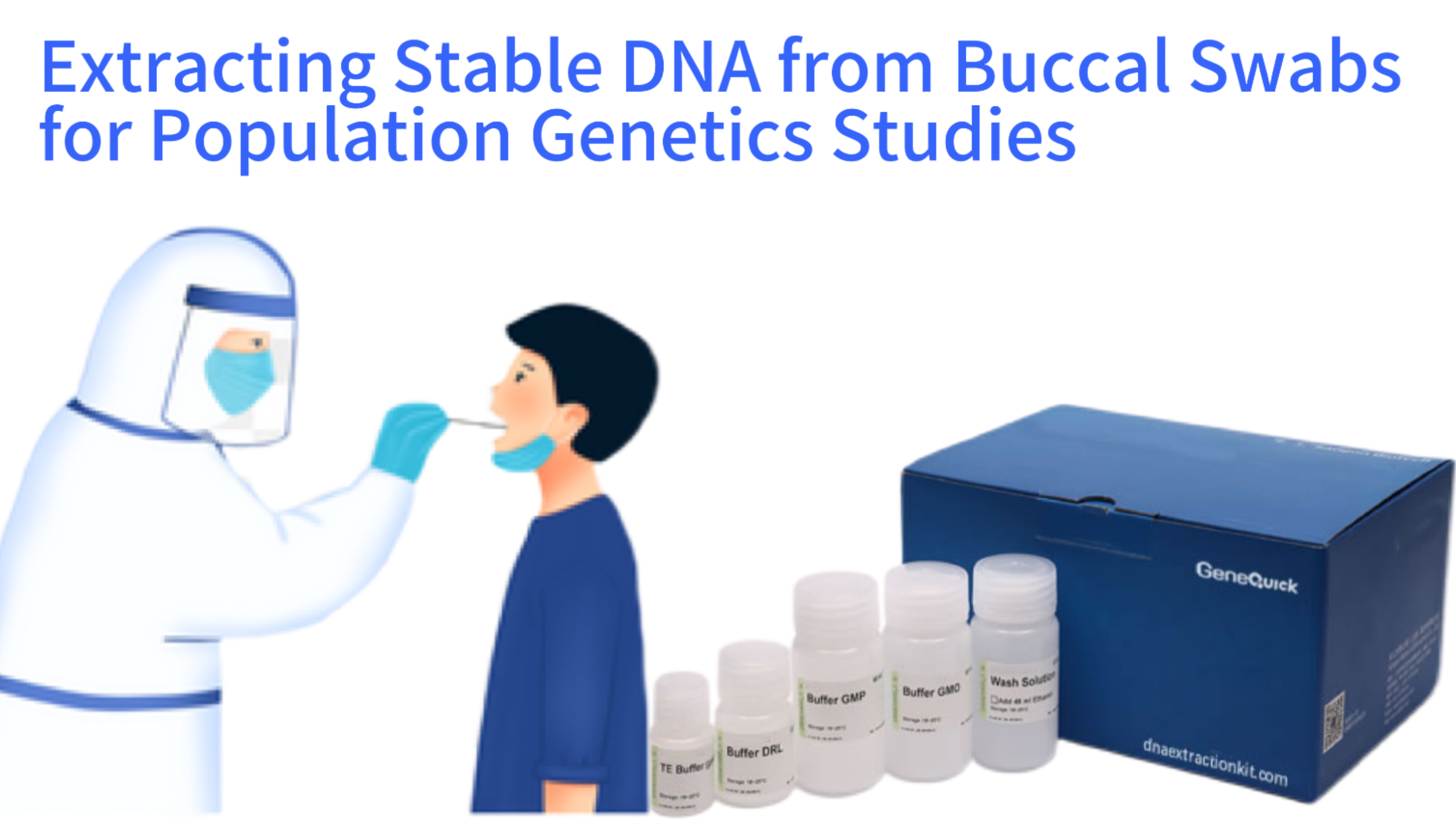 Extracting Stable DNA from Buccal Swabs for Population Genetics Studies