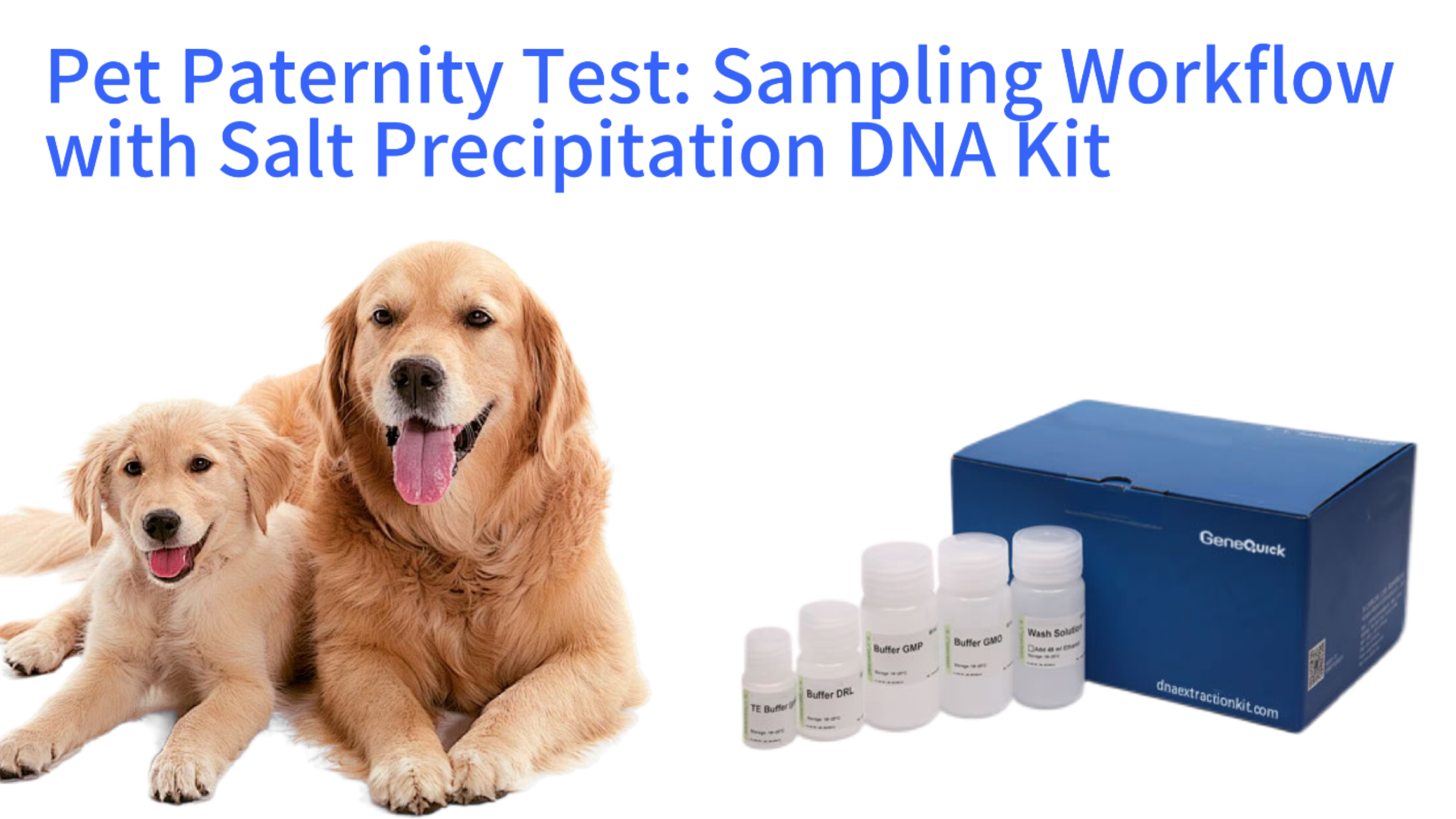 Pet Paternity Test: Sampling Workflow with Salt Precipitation DNA Kit