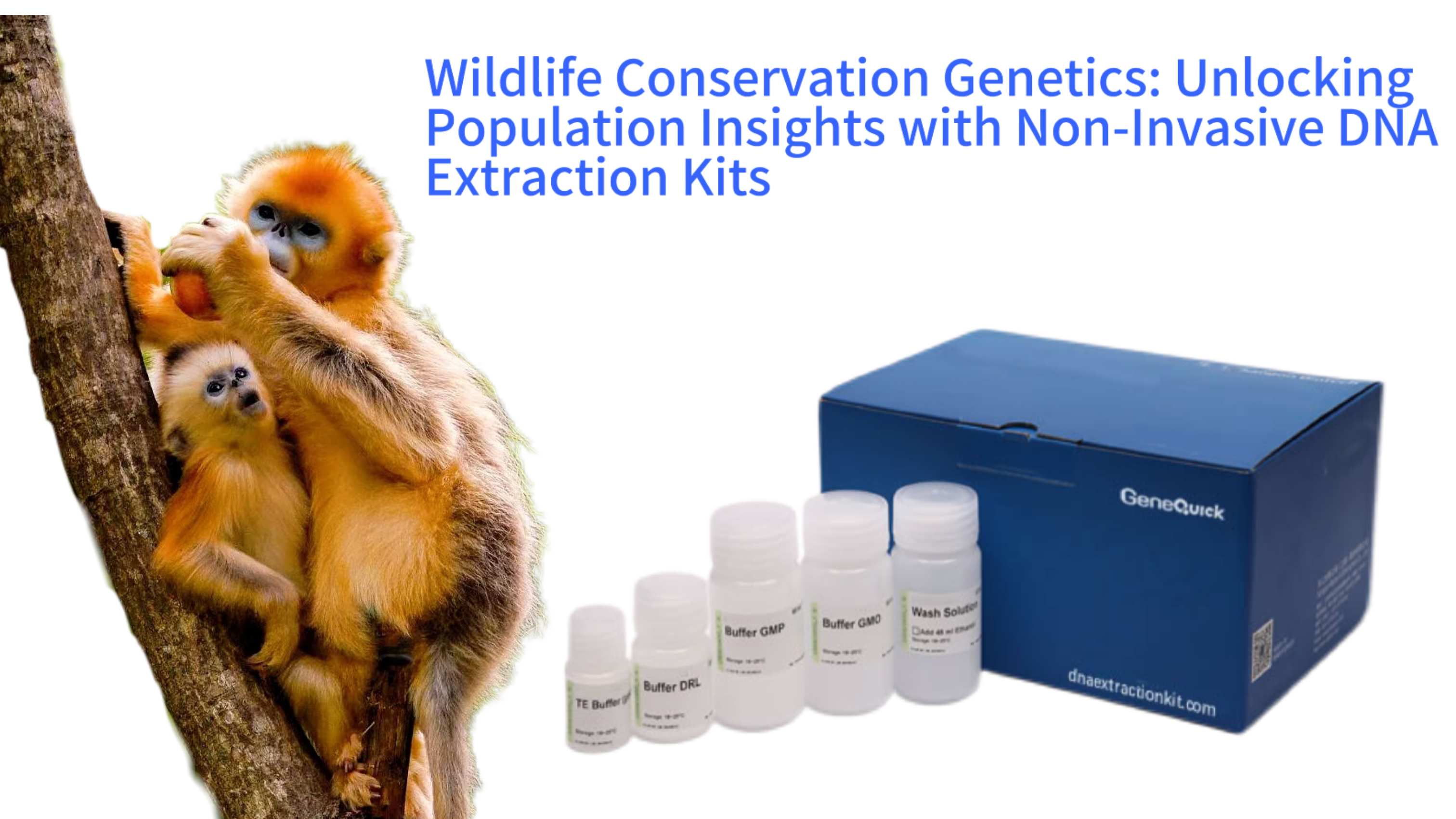 Wildlife Conservation Genetics: Unlocking Population Insights with Non-Invasive DNA Extraction Kits