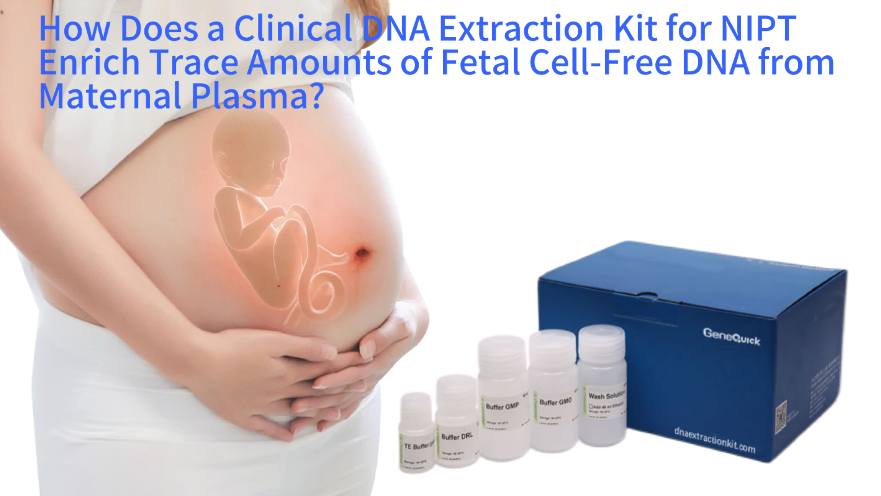 How Does a Clinical DNA Extraction Kit for NIPT Enrich Trace Amounts of Fetal Cell-Free DNA from Maternal Plasma?