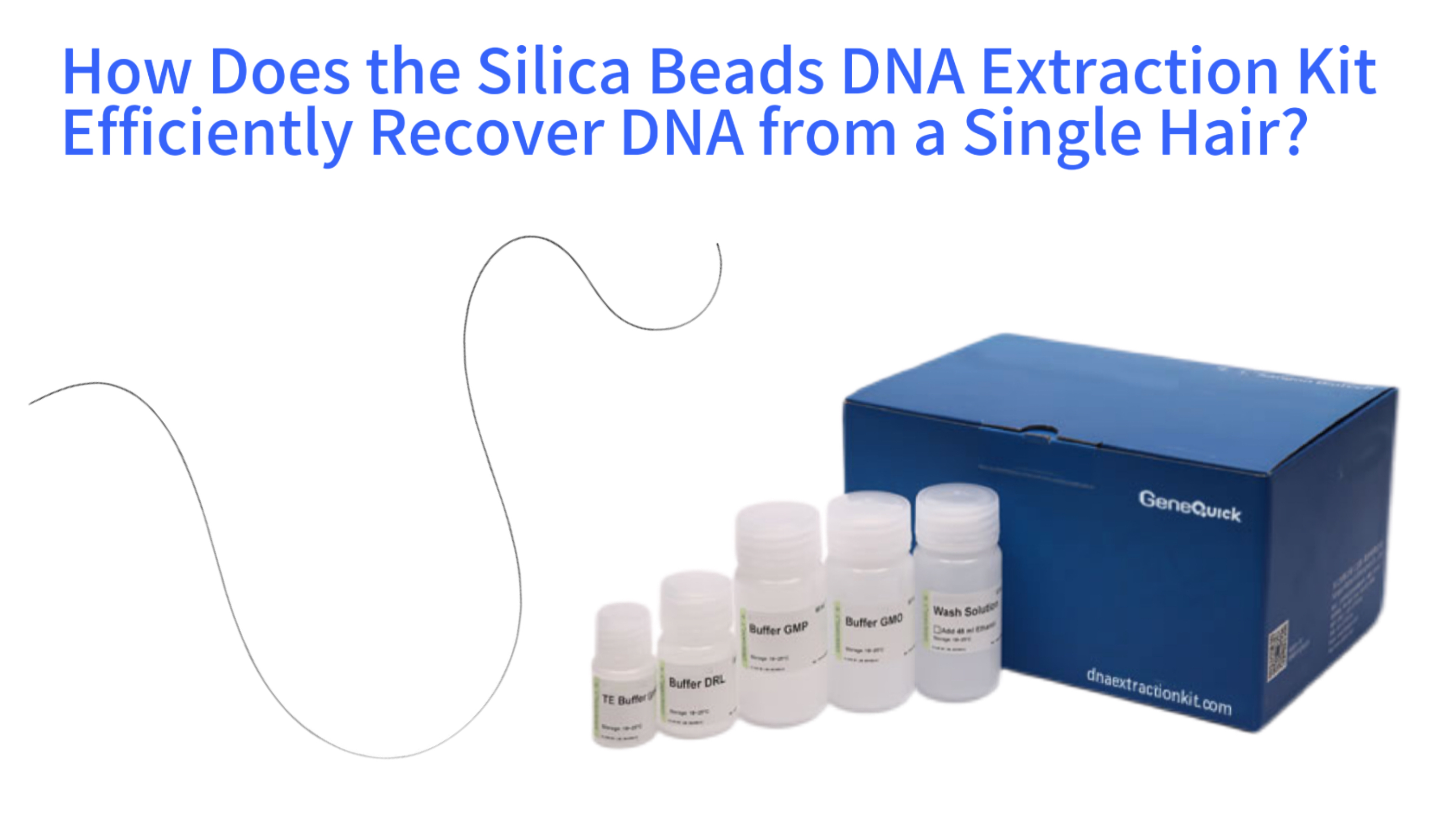 How Does the Silica Beads DNA Extraction Kit Efficiently Recover DNA from a Single Hair?