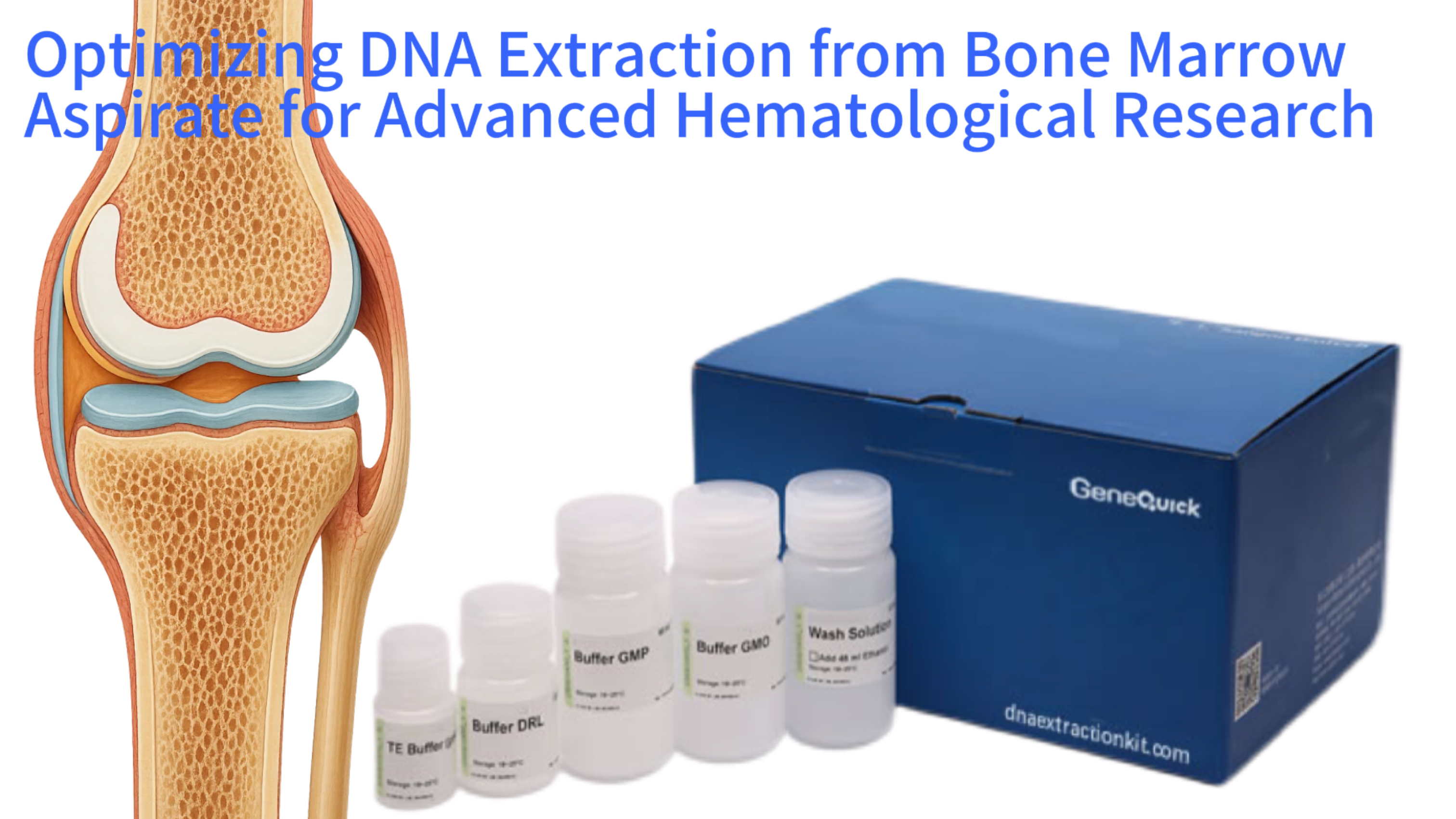 Optimizing DNA Extraction from Bone Marrow Aspirate for Advanced Hematological Research