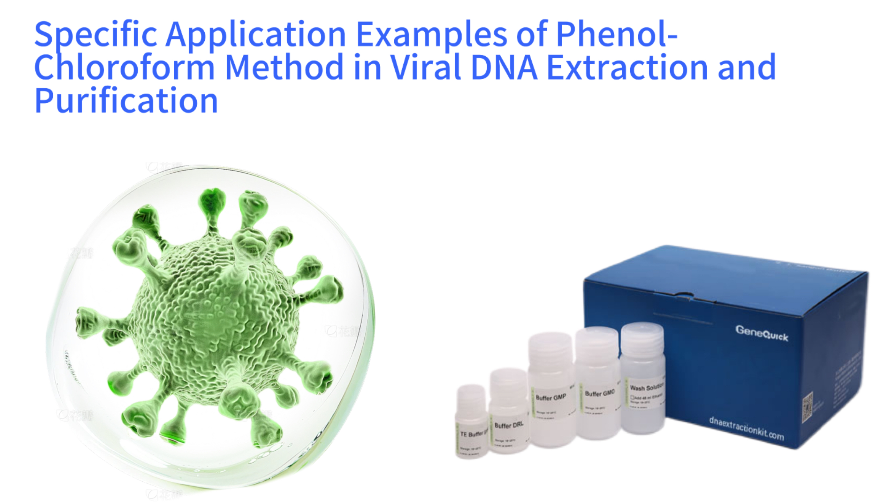 Specific Application Examples of Phenol-Chloroform Method in Viral DNA Extraction and Purification