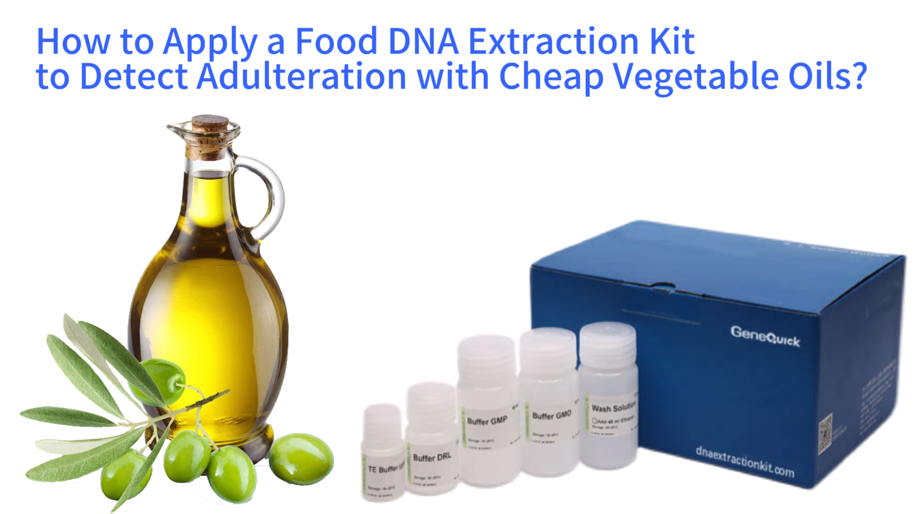 Olive Oil Purity Verification: How to Apply a Food DNA Extraction Kit to Detect Adulteration with Cheap Vegetable Oils?