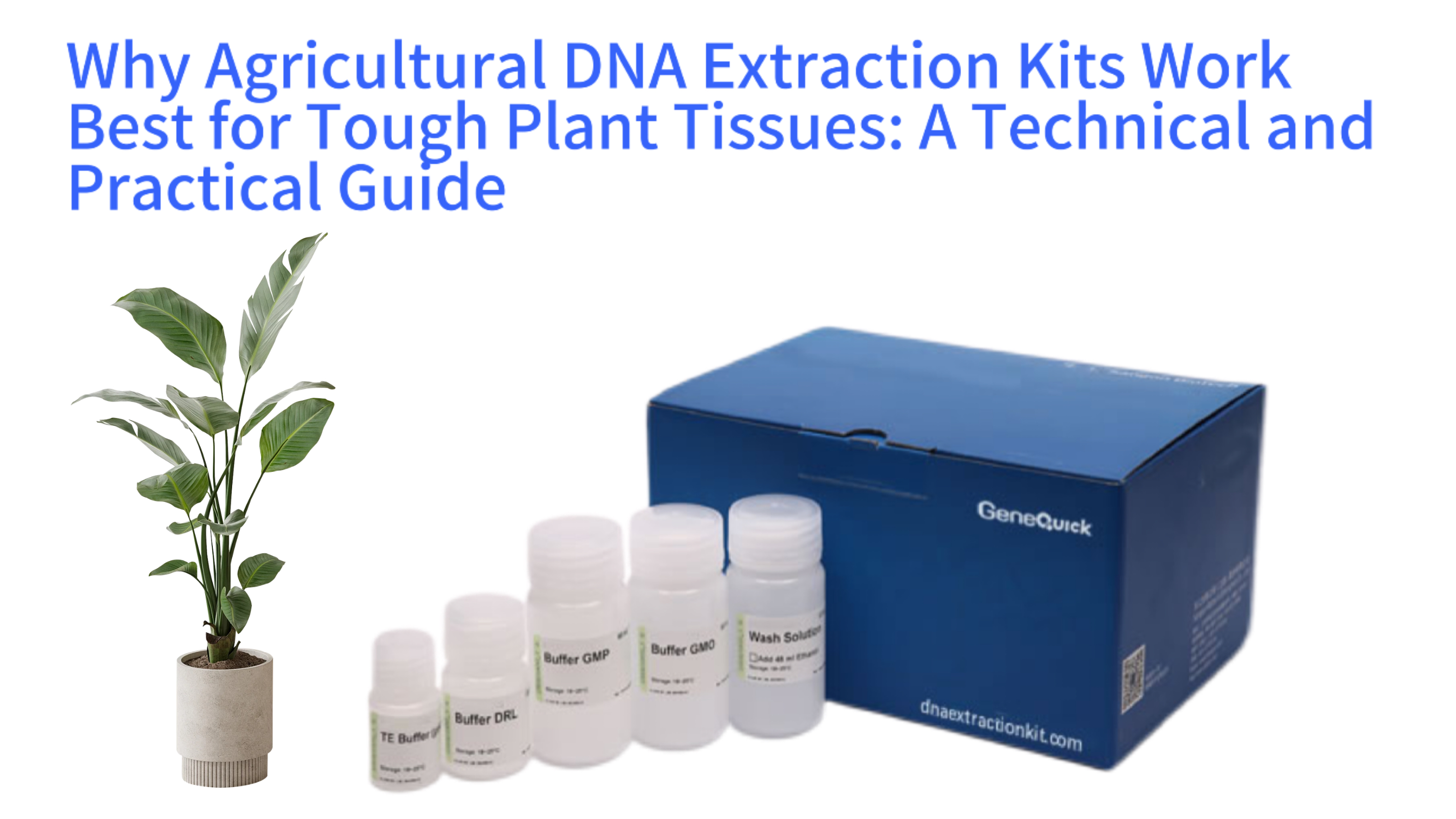 Why Agricultural DNA Extraction Kits Work Best for Tough Plant Tissues: A Technical and Practical Guide
