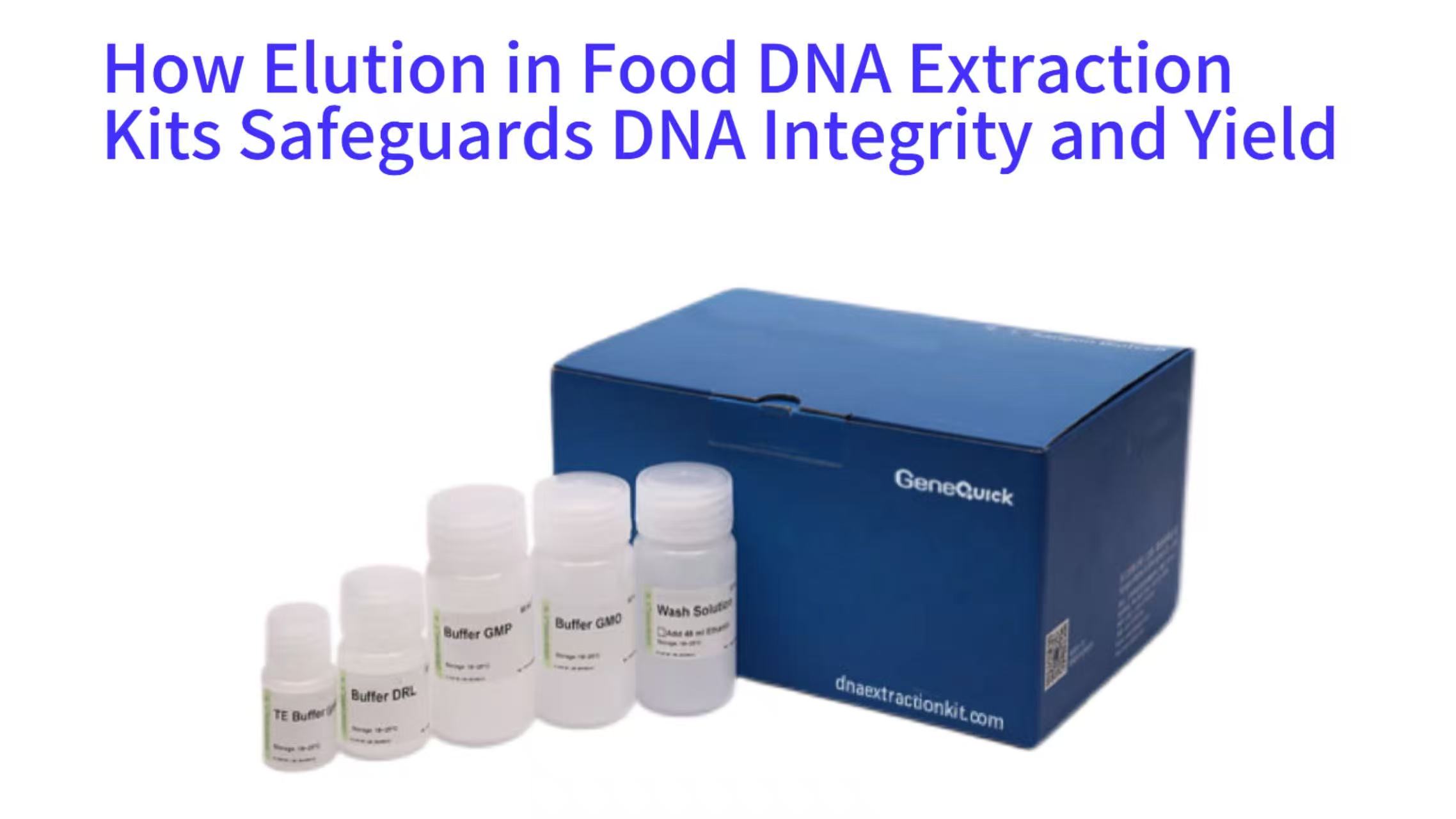 The Final, Critical Step: How Elution in Food DNA Extraction Kits Safeguards DNA Integrity and Yield