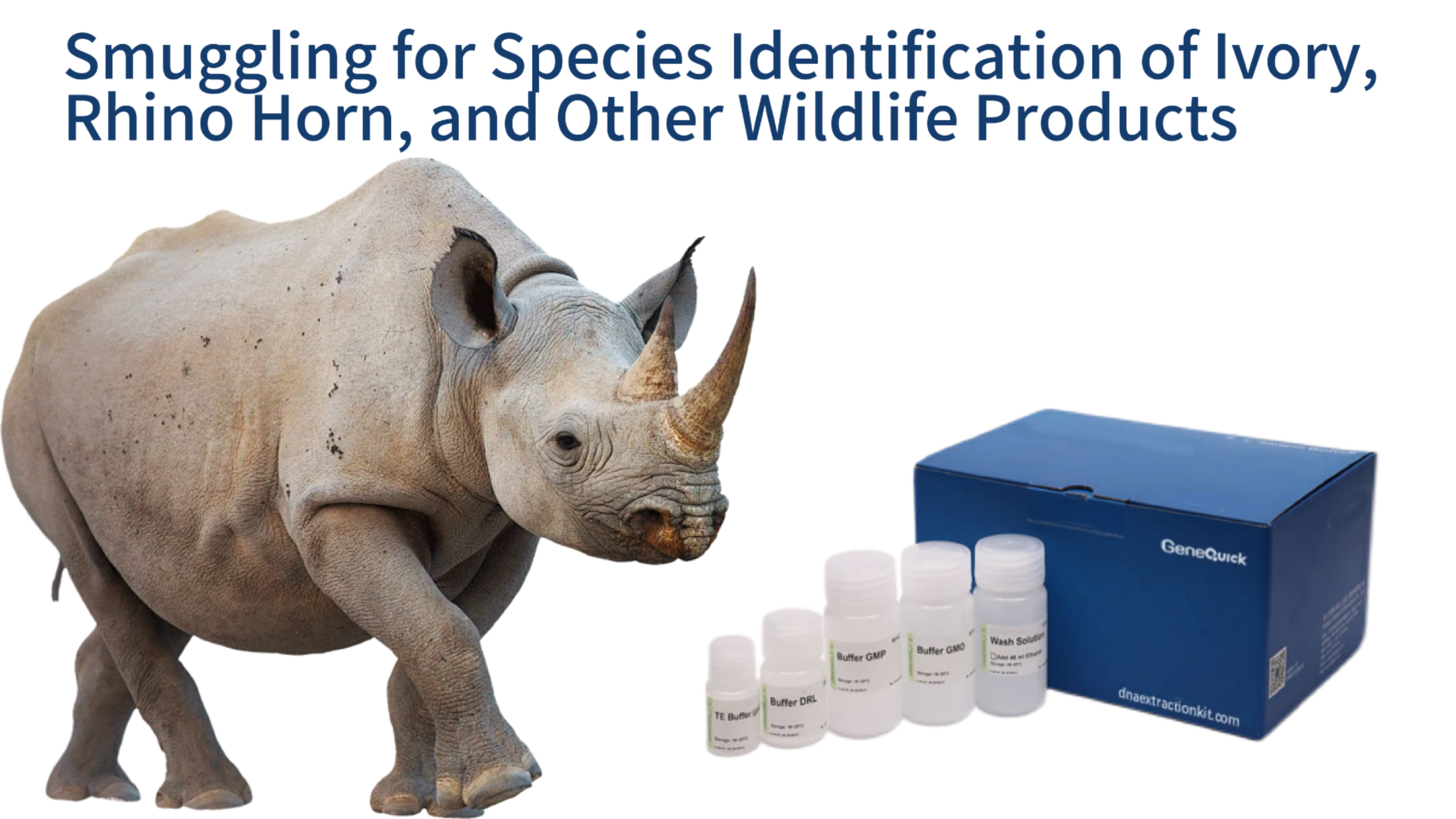 Application of Forensic DNA Kits in Customs Anti-Smuggling for Species Identification of Ivory, Rhino Horn, and Other Wildlife Products