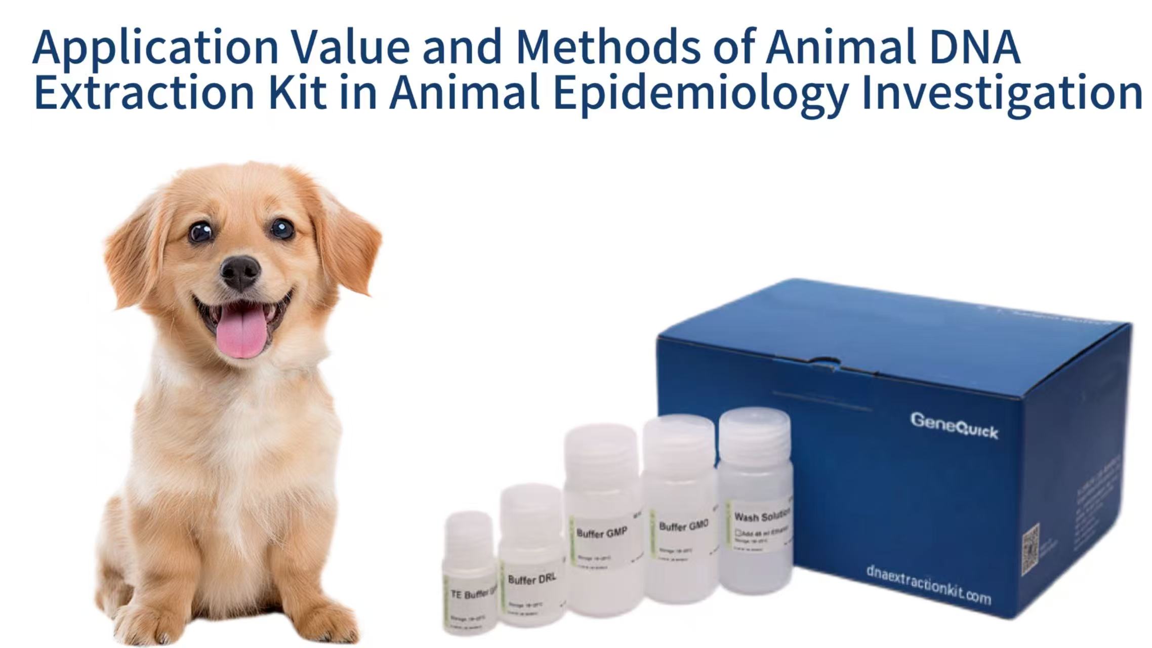 Application Value and Methods of Animal DNA Extraction Kit in Animal Epidemiology Investigation