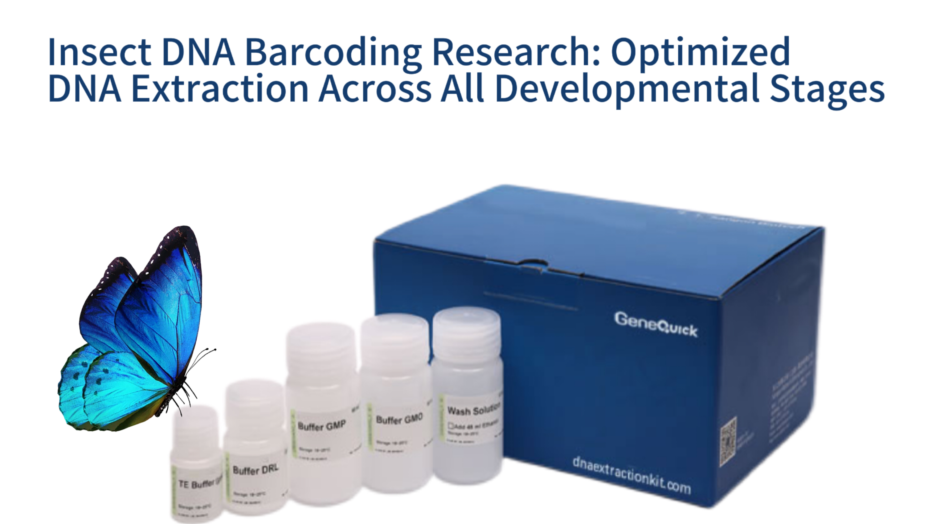 Insect DNA Barcoding Research: Optimized DNA Extraction Across All Developmental Stages