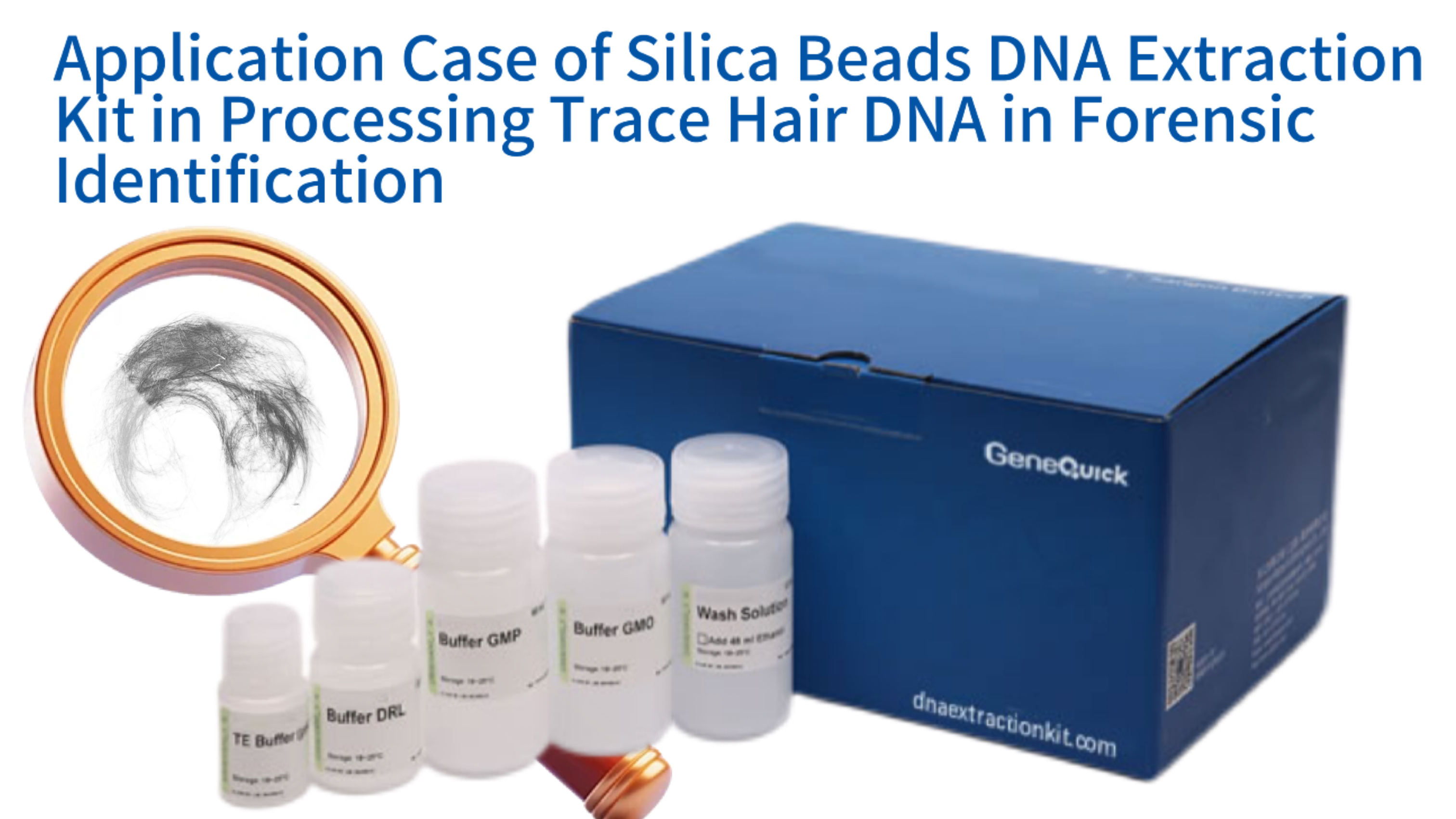 Application Case of Silica Beads DNA Extraction Kit in Processing Trace Hair DNA in Forensic Identification