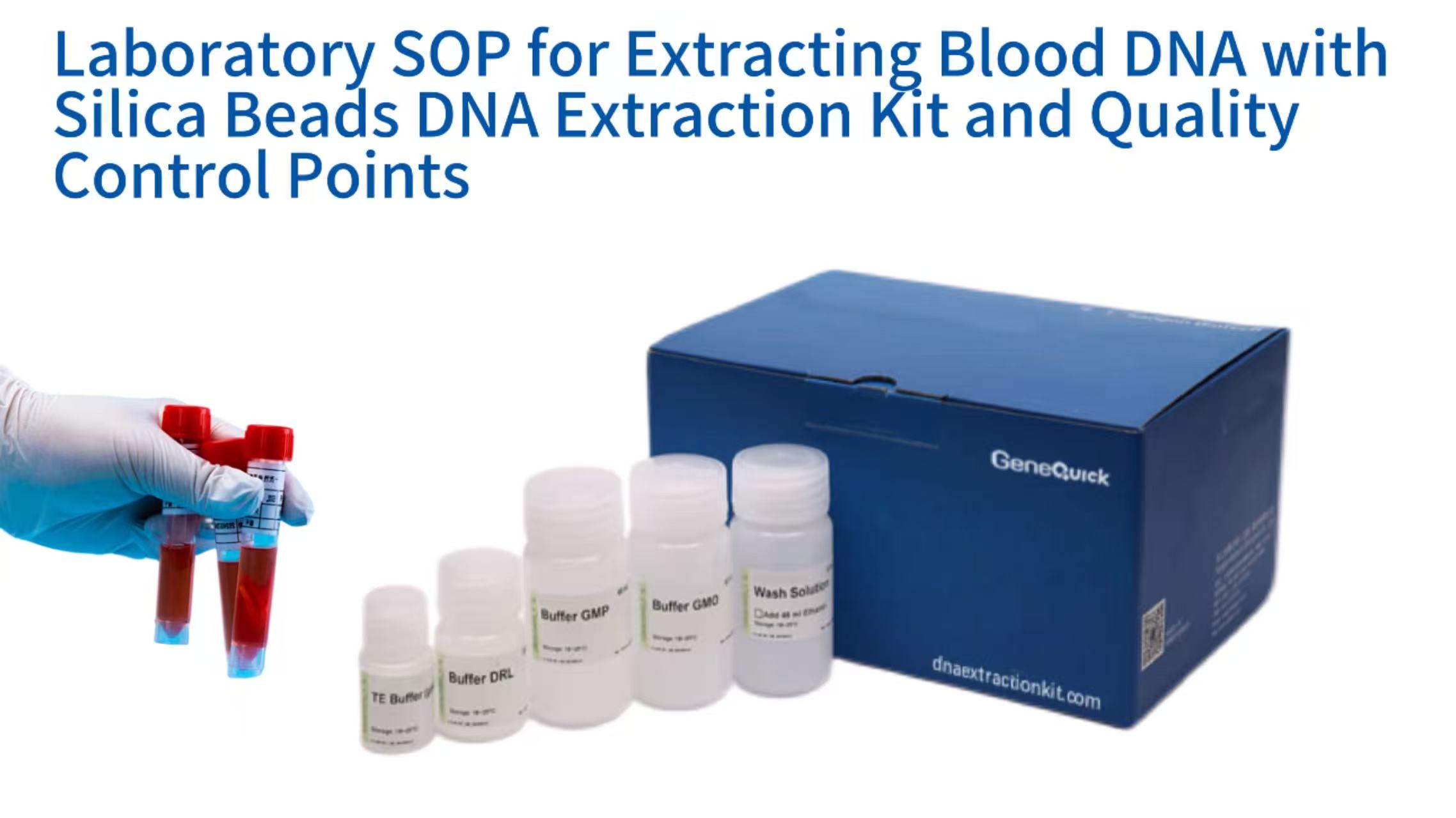 A Laboratory Guide to Standardized Blood DNA Extraction Using Silica Beads and Integrated Quality Control